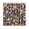 Chihuahua Portraits Novelty Shower Curtain, Fun Bathroom Decoration