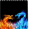 Chinese Dragons Print Shower CurtainMedieval Mythical Flame Bathroom Decor