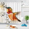 Color Hummingbird Music Notes Shower Curtain For Music And Bird Lovers