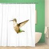 Colorful American Ruby Throated Hummingbird Shower Curtain - Waterproof Fabric Bathroom Curtains 