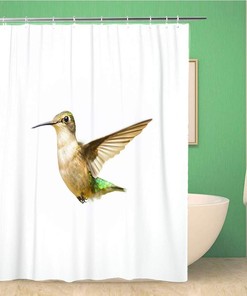 Colorful American Ruby Throated Hummingbird Shower Curtain - Waterproof Fabric Bathroom Curtains 