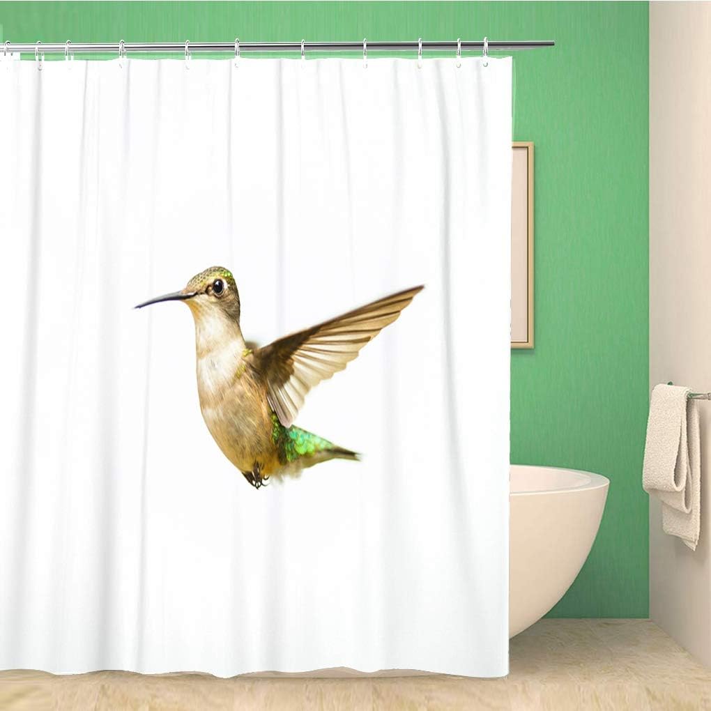 Colorful American Ruby Throated Hummingbird Shower Curtain - Waterproof Fabric Bathroom Curtains