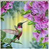 Colorful Birds Lover Fabric Shower Curtain with Hummingbird and Flowers Print