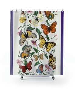 Colorful Botanical Butterfly Painting 1842 Boho Shower Curtain 