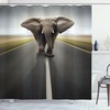 Colorful Elephant Print Shower Curtain