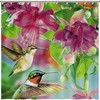 Colorful Hummingbird and Flowers Fabric Shower Curtain for Kids Bathroom Decor