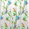 Colorful Hummingbirds Shower Curtain For Nature Inspired Bathroom Decor