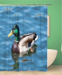 Colorful Mallard Duck in Calm Lake Shower Curtain