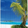 Colorful Palm Leaf Shower Curtain For Tropical Bathroom Charm