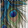 Colorful Peacock Feathers Waterproof Shower Curtain for a Colorful Bathroom