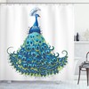 Colorful Peacock Illustration Shower Curtain, Classical Tropics Wildlife Theme Design