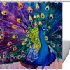Colorful Peacock Watercolor Painting Shower Curtain Ideas
