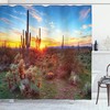Colorful Sun Is Setting Between Saguaros Wildflowers Shower Curtain