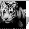 Colorful Tiger Shower Curtain for Creative Bathroom Decor, 60x72
