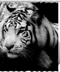 Colorful Tiger Shower Curtain for Creative Bathroom Decor, 60x72