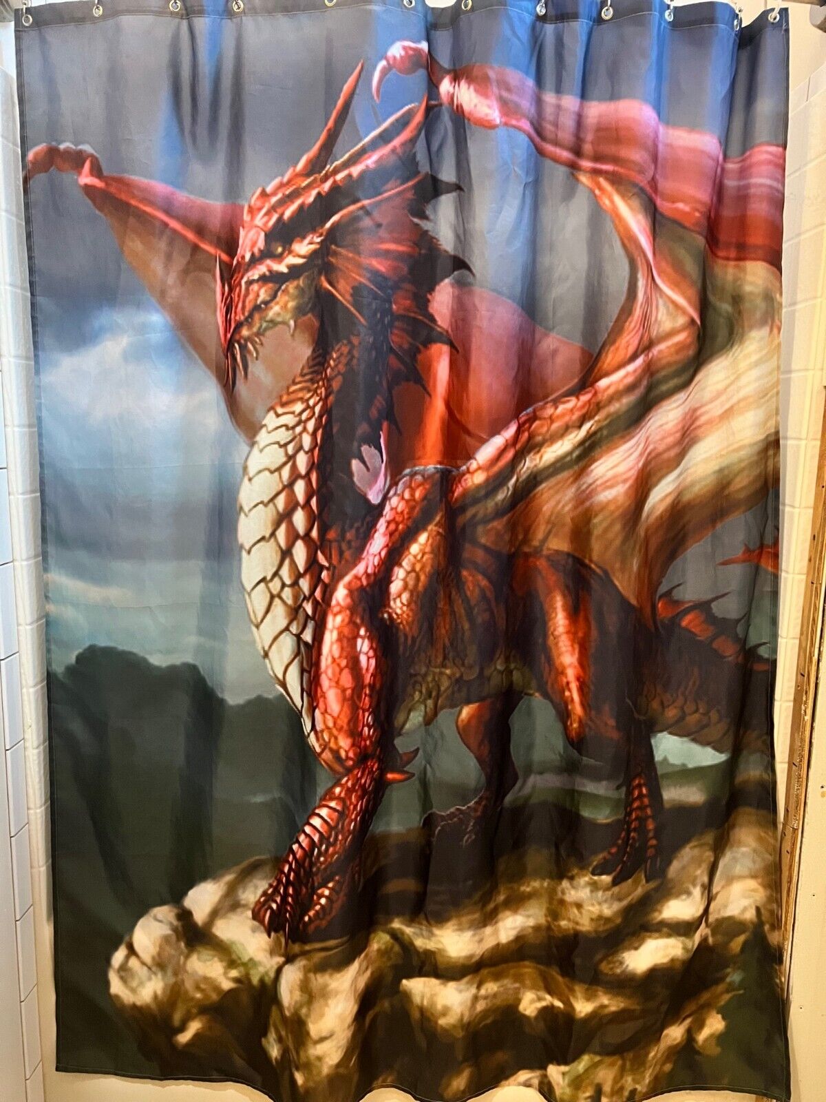 Cool Dragon Fantasy Art Shower Curtain with Scary and Spooky Design