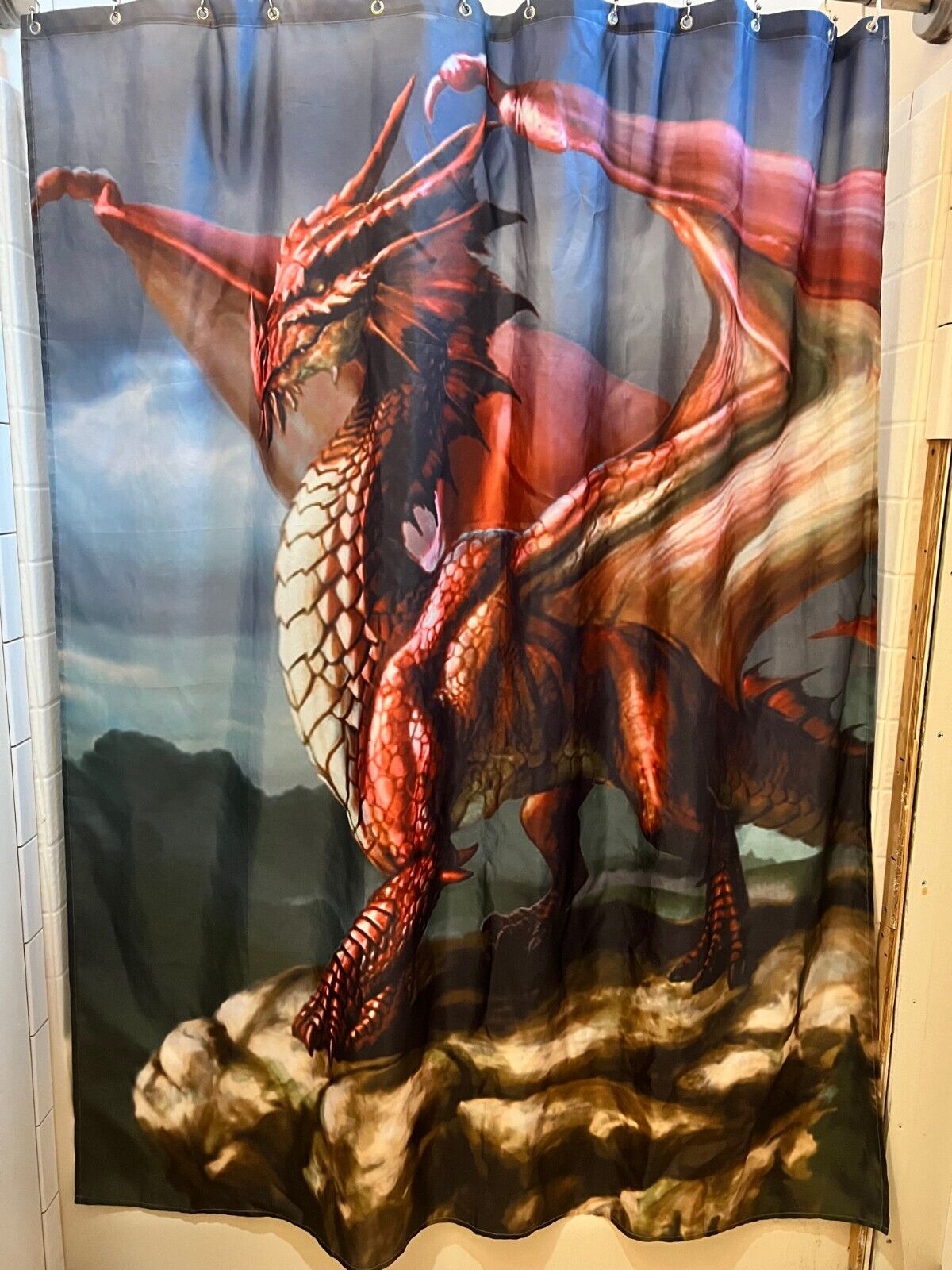 Cool Dragon Fantasy Art Shower Curtain with Scary and Spooky Design