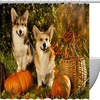 Corgi Dogs Pumpkin Fall Shower Curtain Restroom Shower Curtain