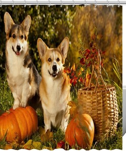 Corgi Dogs Pumpkin Fall Shower Curtain Restroom Shower Curtain