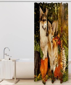 Corgi Dogs Pumpkin Fall Shower Curtain Restroom Shower Curtain