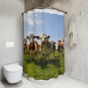 Cow Print Shower Curtain With White And Black Cow Skin Background - A Perfect Addition To Your Cow-Themed Bathroom Decor