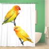 Crayon Love Bird Yellow Parrots Shower Curtain With African Pattern