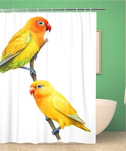 Crayon Love Bird Yellow Parrots Shower Curtain With African Pattern