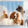 Cute And Funny Dogs And Cats Print Shower Curtain For Sky And Clouds Lovers, Unique Bathroom Decor Idea