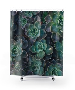 Cute And Unique Boho Nature Aesthetic Shower Curtain With Plant Mom Succulent Theme For Chic Bathroom Decor