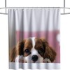 Cute Animal Funny Dog Shower Curtain Waterproof Washable Pink Brown