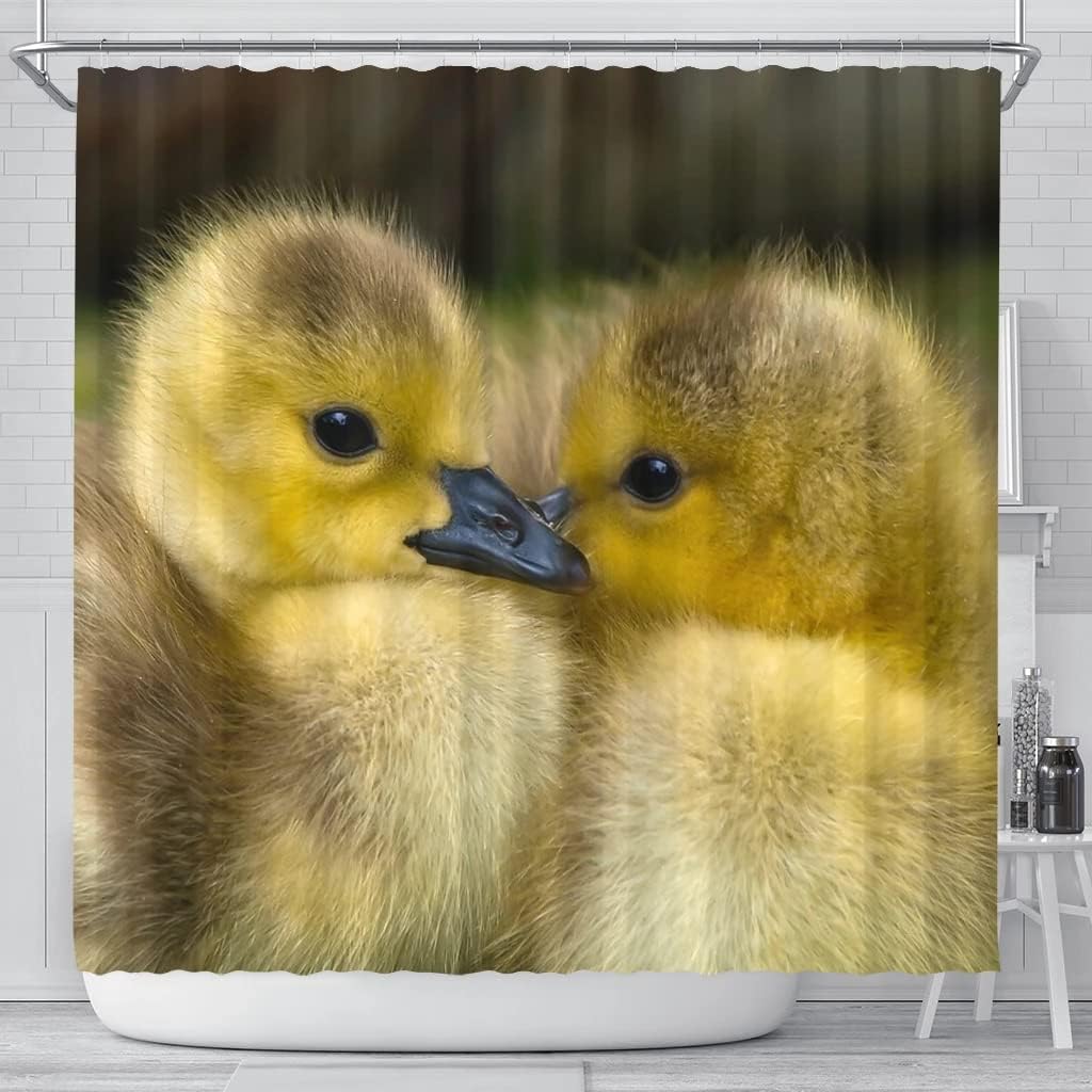 Cute Baby Duck Bird Print Shower Curtain for Nature Lovers