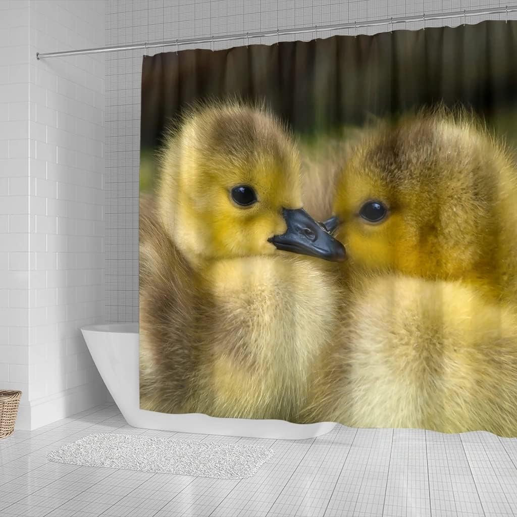 Cute Baby Duck Bird Print Shower Curtain for Nature Lovers