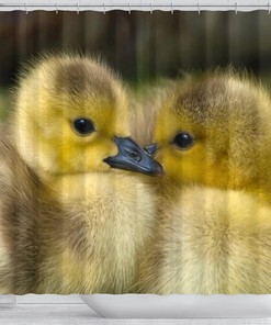 Cute Baby Duck Bird Print Shower Curtain for Nature Lovers