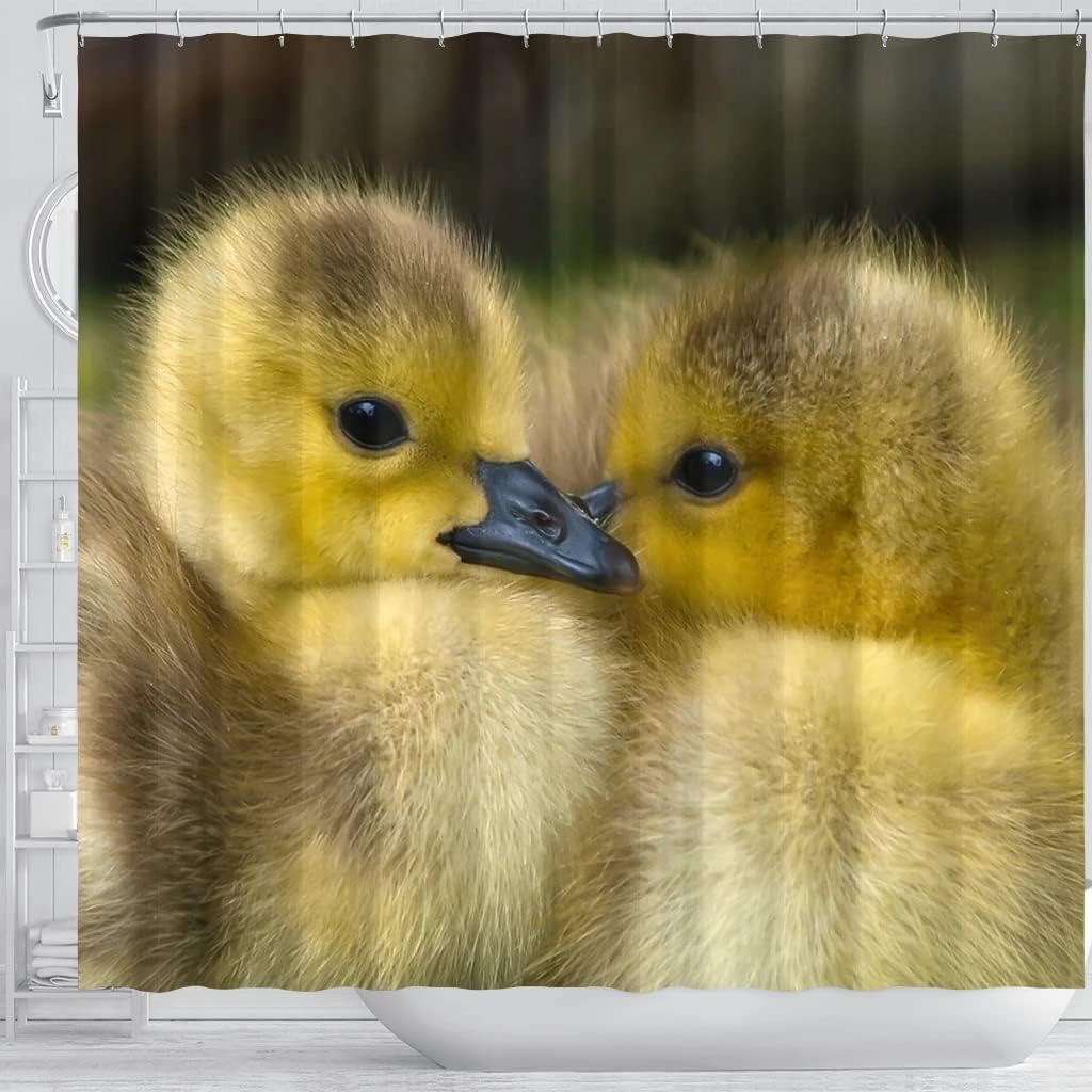 Cute Baby Duck Bird Print Shower Curtain for Nature Lovers