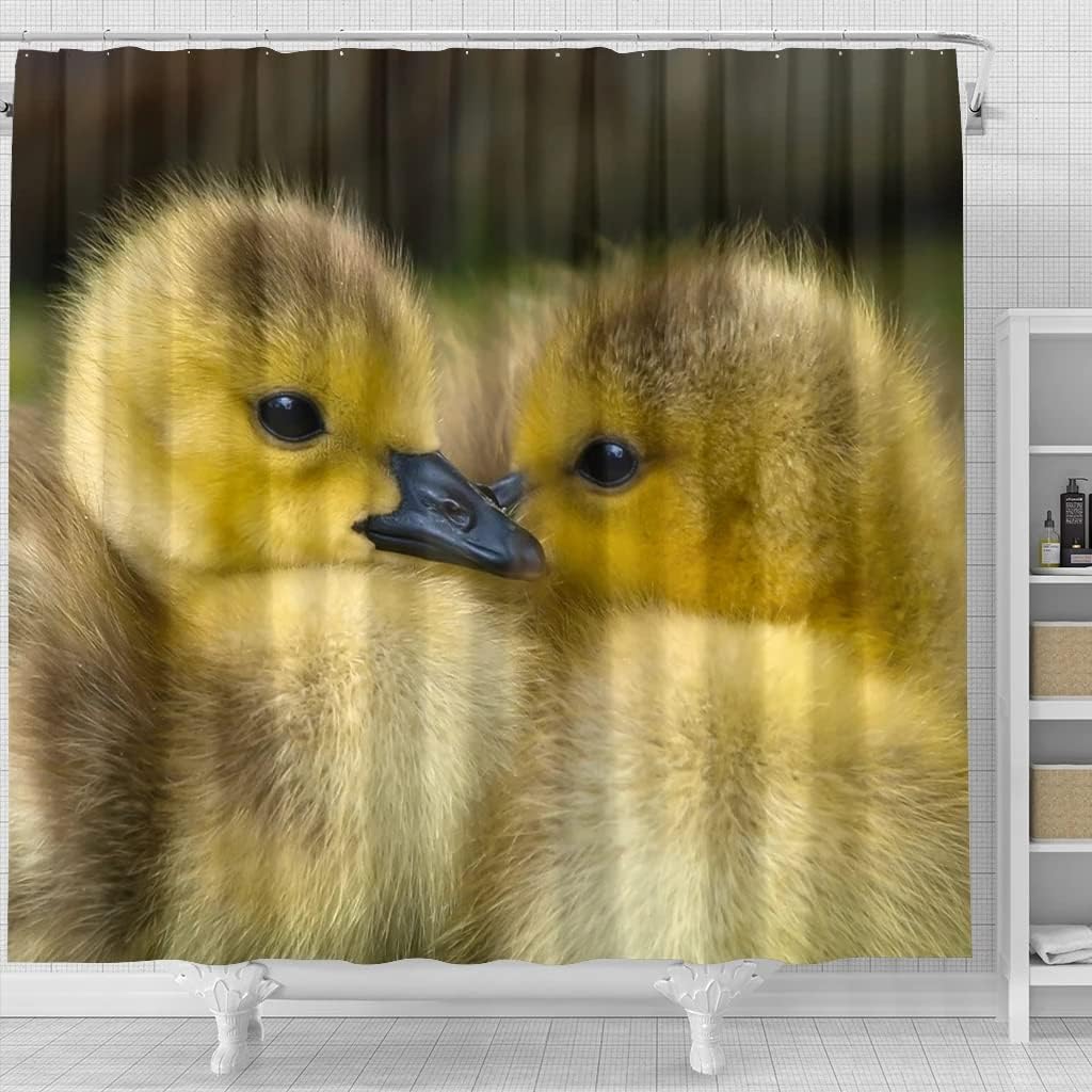 Cute Baby Duck Bird Print Shower Curtain for Nature Lovers