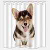 Cute Corgi Dog Shower Curtain - Fun Fabric Bathroom Accessory