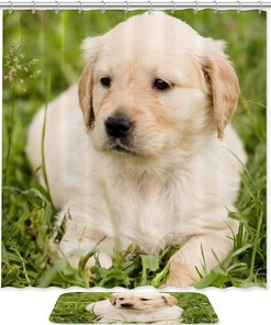 Cute Dog Shower Curtain - Colorful Bathroom Decor