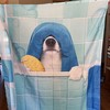 Cute Dog Shower Curtain For Animal Lovers, Waterproof With 8 Hooks