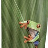 Cute Frog Cartoon Print Shower Curtain for Bathroom Decor