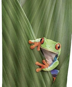 Cute Frog Cartoon Print Shower Curtain for Bathroom Decor