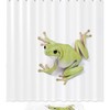 Cute Green Frog Background Shower Curtain For Fun Bathroom Decor 