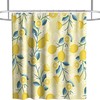 Cute Lemon Fruit Vintage Bathroom Shower Curtain Waterproof Washable Yellow