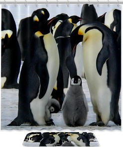 Cute Penguin Print Shower Curtain, Waterproof Bathroom Curtain