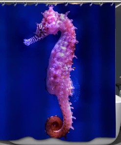 Cute Seahorse Poster on Blue Background Shower Curtain for Modern Baths 