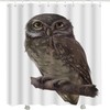 Cute White Owl Animal Shower Curtain for Bathroom with Brown Owl Print