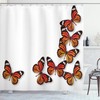 Dark Brown Marigold Monarch Butterfly Flying Frame Insect Weather Shower Curtain