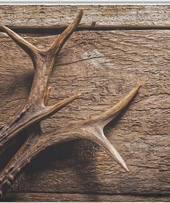 Deer Antlers On Wood Table Rustic Shower Curtain, Waterproof Bath Curtain For Your Bathroom Decoration