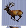 Deer Bathroom Shower Curtain With Waterproof Bath Curtain, Perfect Addition To Your Wildlife Themed Bathroom