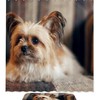 Delightful Shih Tzu Dog Puppy Fabric Shower Curtain for Bathroom Decor