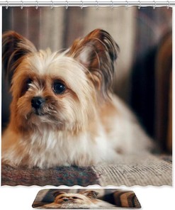 Delightful Shih Tzu Dog Puppy Fabric Shower Curtain for Bathroom Decor